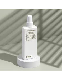 mister fantastic blowout spray 2